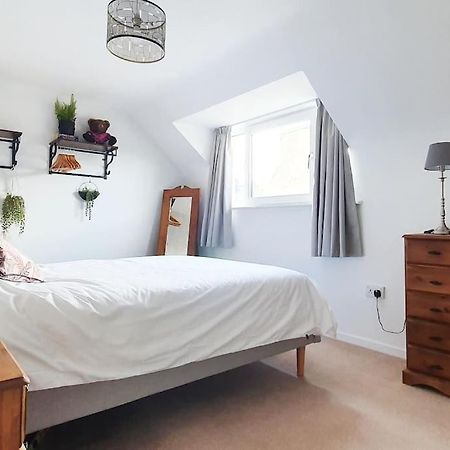 ダフタウン York Street Retreat, Modern Cosy 2 Bed With Gardenヴィラ エクステリア 写真